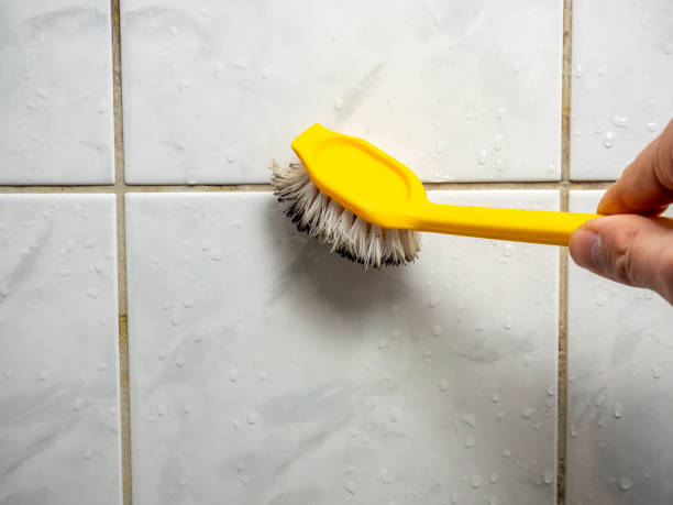Best Mold Removal Company Near Me  in North Warren, PA