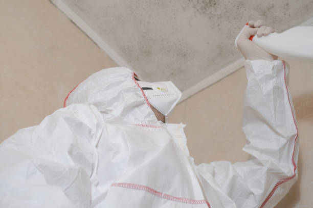 Best Local Mold Removal Service  in North Warren, PA
