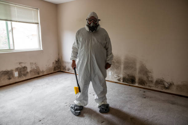 Best Mold Removal Process  in North Warren, PA